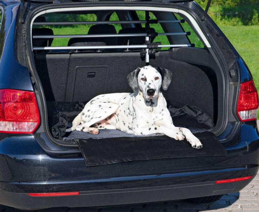 Как осуществляется перевозка собак в багажнике автомобиля?