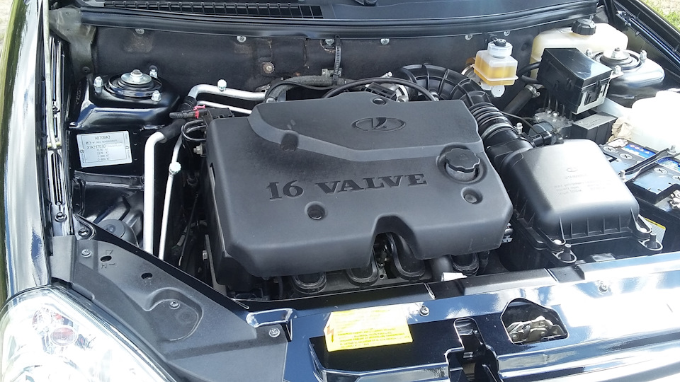 Двигатели автомобилей Волжского завода — технические характеристики, плюсы и минусы